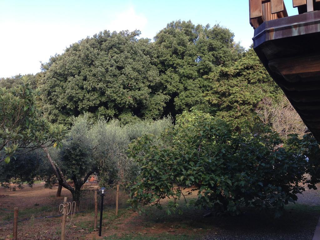 Agriturismo "La Rosa Canina" Bed & Breakfast Lerici Bagian luar foto